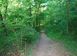 Garrison Creek Hiking Trails