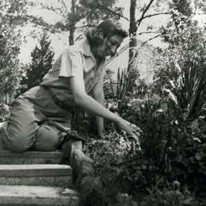 Eudora Welty working in the Garden